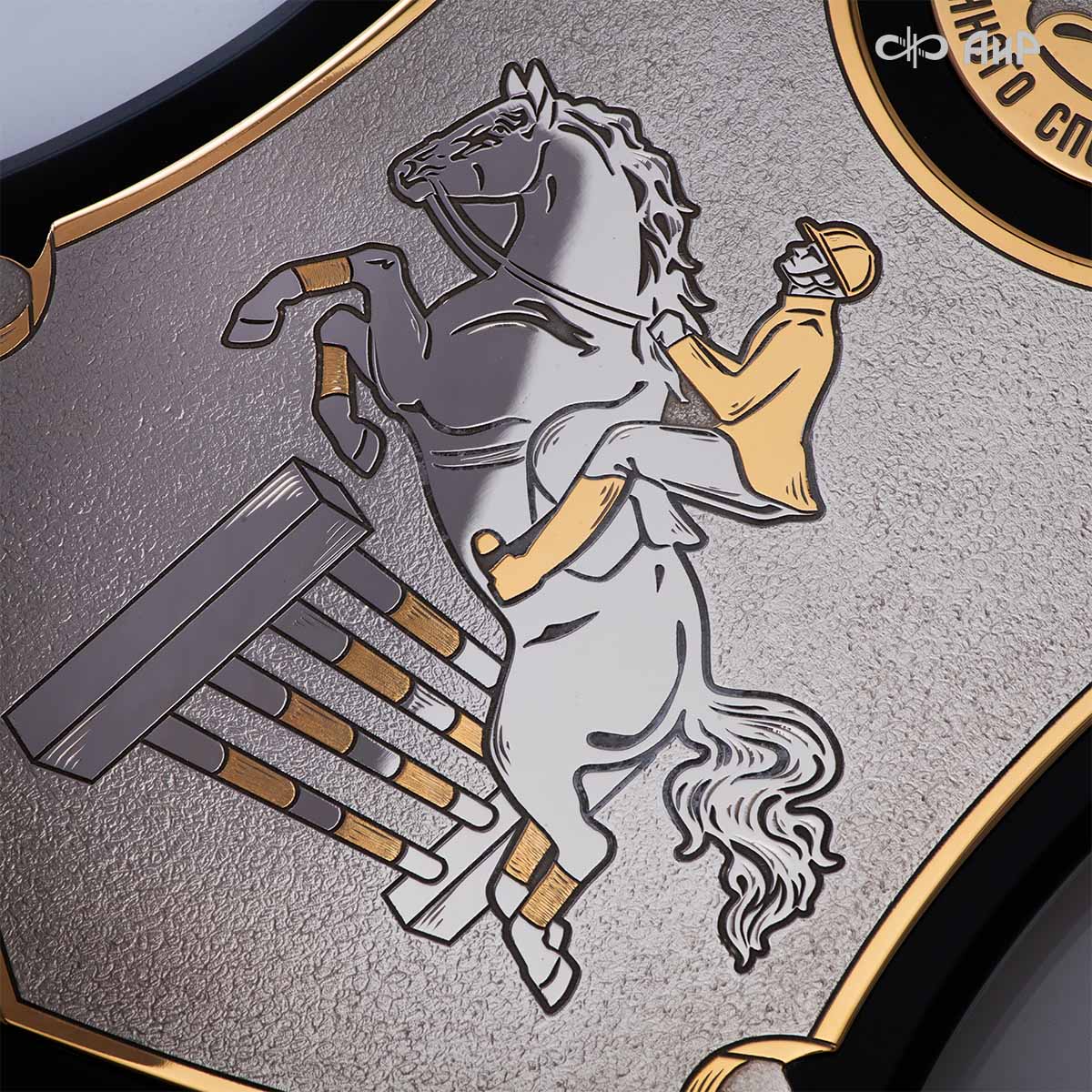 Кубок губернатора Челябинской области по конкуру, 2025, посвященный памяти П.И. Сумина, Артикул: 39088 - Компания «АиР»