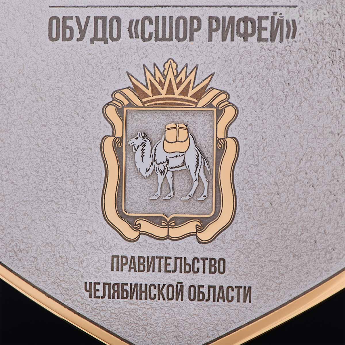 Кубок губернатора Челябинской области по конкуру, 2025, посвященный памяти П.И. Сумина, Артикул: 39088 - Компания «АиР»