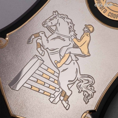 Кубок губернатора Челябинской области, Чемпионата и Первенства Челябинской области по конкуру Золотая осень-2024, Артикул: 38805 - Компания «АиР»