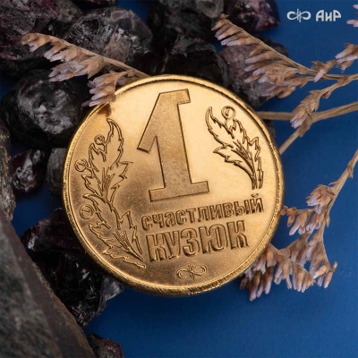  Монета Счастливый кузюк, метеорит, золото, латунь, Артикул: AF0000013013 - Компания «АиР»