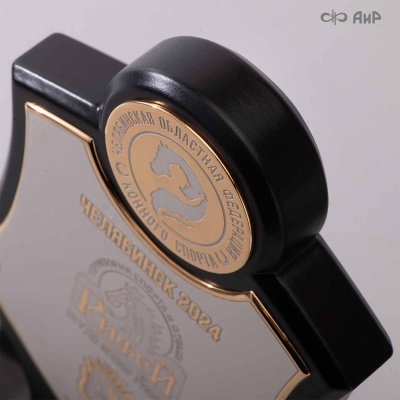 Кубок губернатора Челябинской области, Чемпионата и Первенства Челябинской области по конкуру Золотая осень-2024, Артикул: 38805 - Компания «АиР»