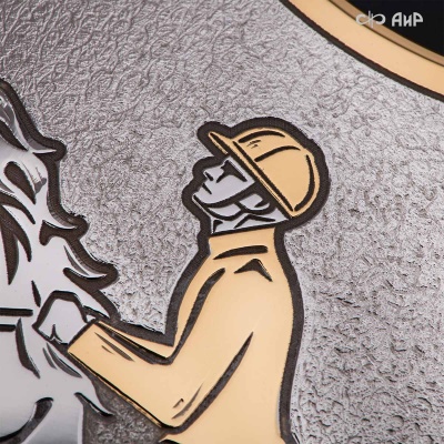 Кубок губернатора Челябинской области по конкуру, 2025, посвященный памяти П.И. Сумина, Артикул: 39088 - Компания «АиР»