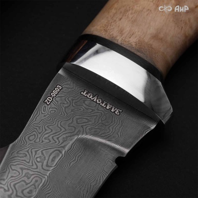 Клык (карельская береза) дамасская сталь ZD-0803 - Компания «АиР»