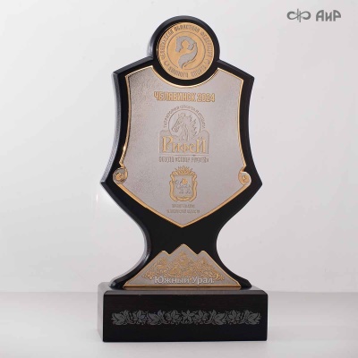 Кубок губернатора Челябинской области, Чемпионата и Первенства Челябинской области по конкуру Золотая осень-2024, Артикул: 38805 - Компания «АиР»