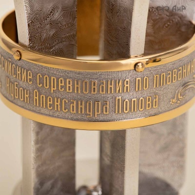 Малый Кубок Александра Попова (Всероссийские соревнования по плаванию 21-23 мая 2025 Челябинск) Артикул 39079 - Компания «АиР»