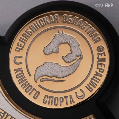 Кубок губернатора Челябинской области, Чемпионата и Первенства Челябинской области по конкуру Золотая осень-2024, Артикул: 38805 - Компания «АиР»